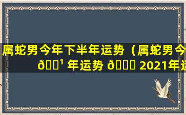 属蛇男今年下半年运势（属蛇男今 🌹 年运势 🐟 2021年运势）